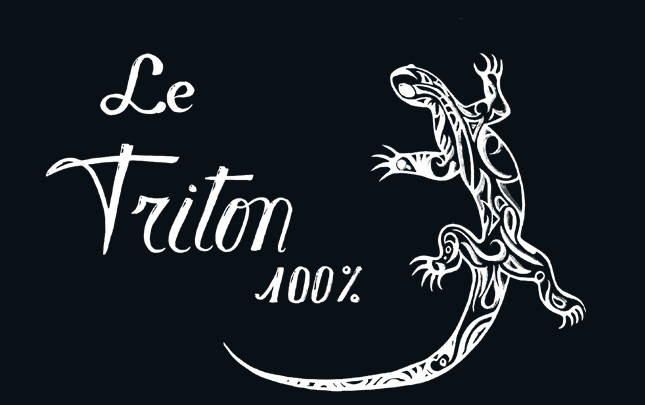 Etablissements Triton