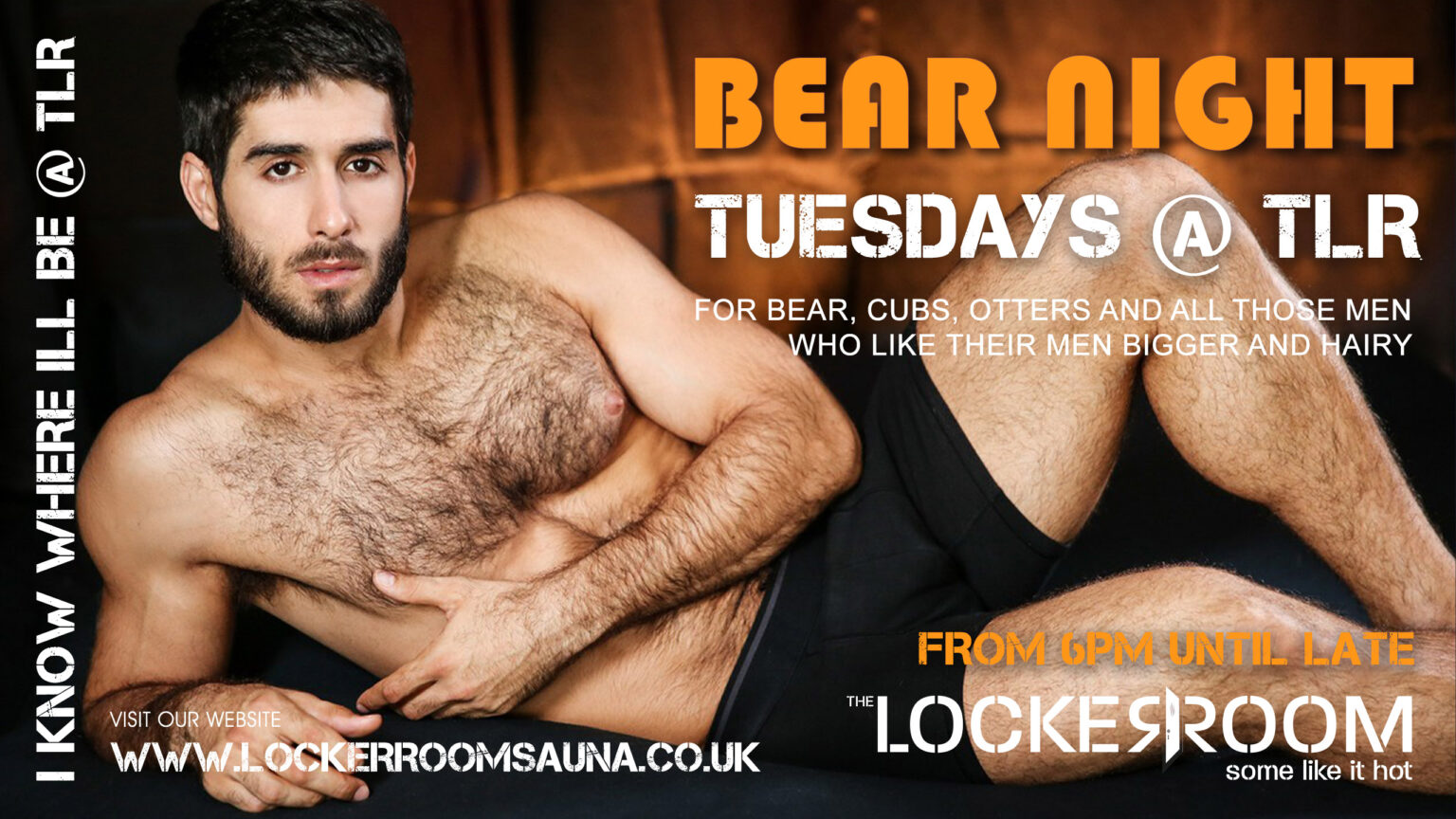 Bear night