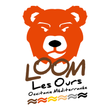 Saint Sylvestre loomineuse