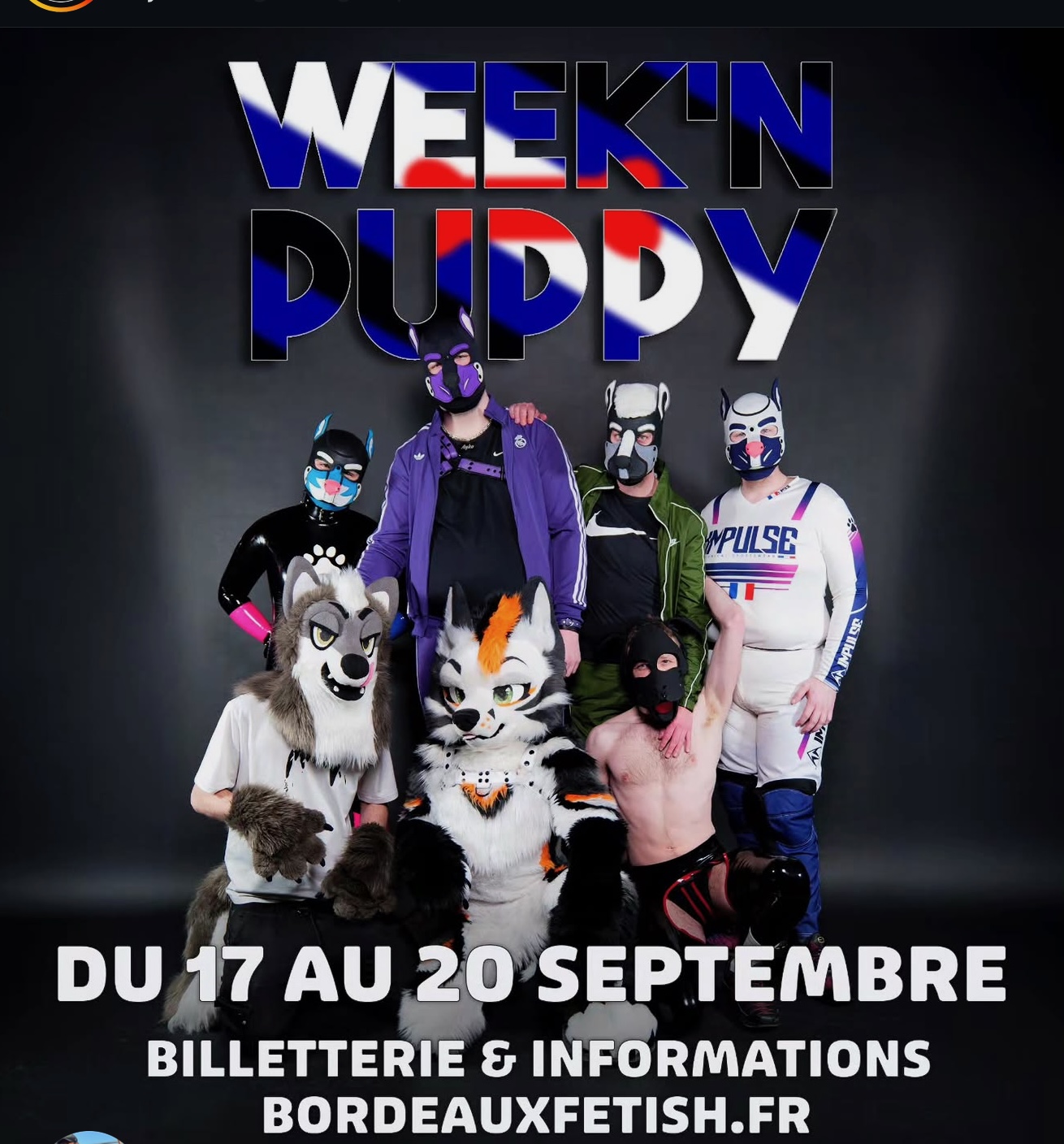 Week end puppy